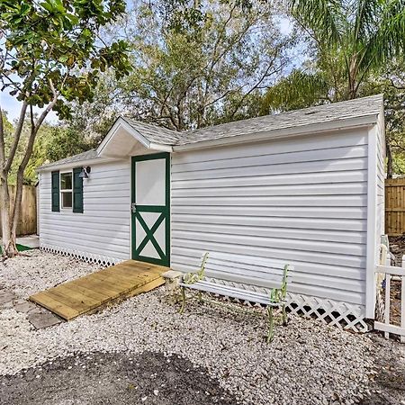Tropical Palm Harbor Studio Walk To Gulf! Εξωτερικό φωτογραφία