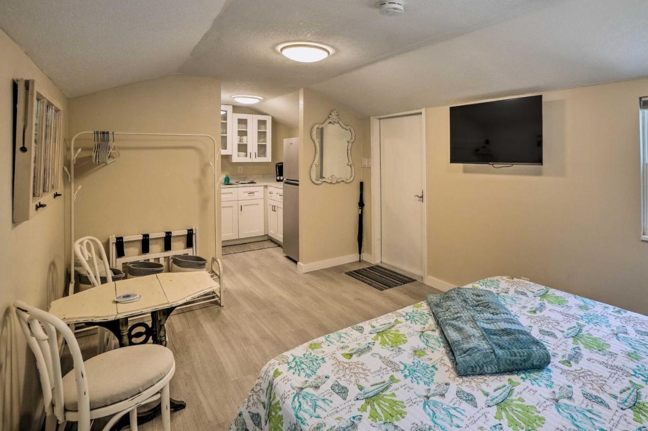 Tropical Palm Harbor Studio Walk To Gulf! Εξωτερικό φωτογραφία