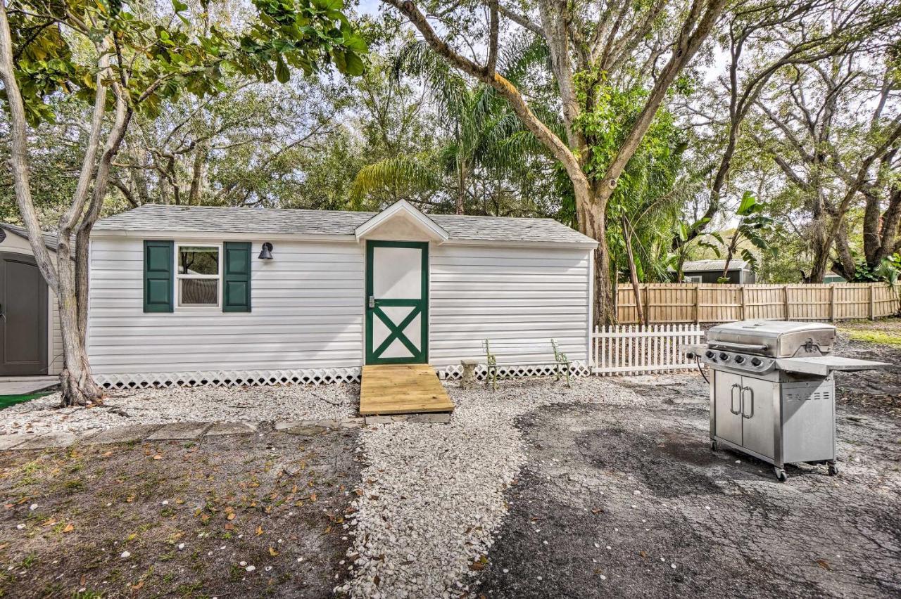 Tropical Palm Harbor Studio Walk To Gulf! Εξωτερικό φωτογραφία