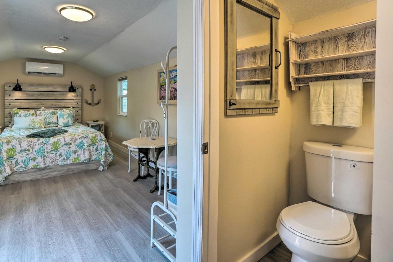 Tropical Palm Harbor Studio Walk To Gulf! Εξωτερικό φωτογραφία